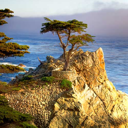 Pebble Beach